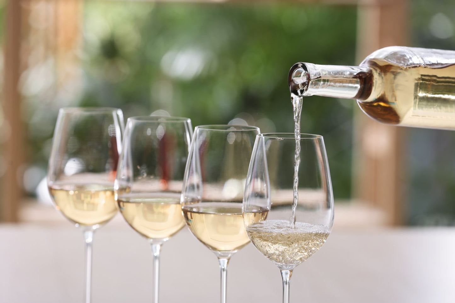 Wine Glass Set